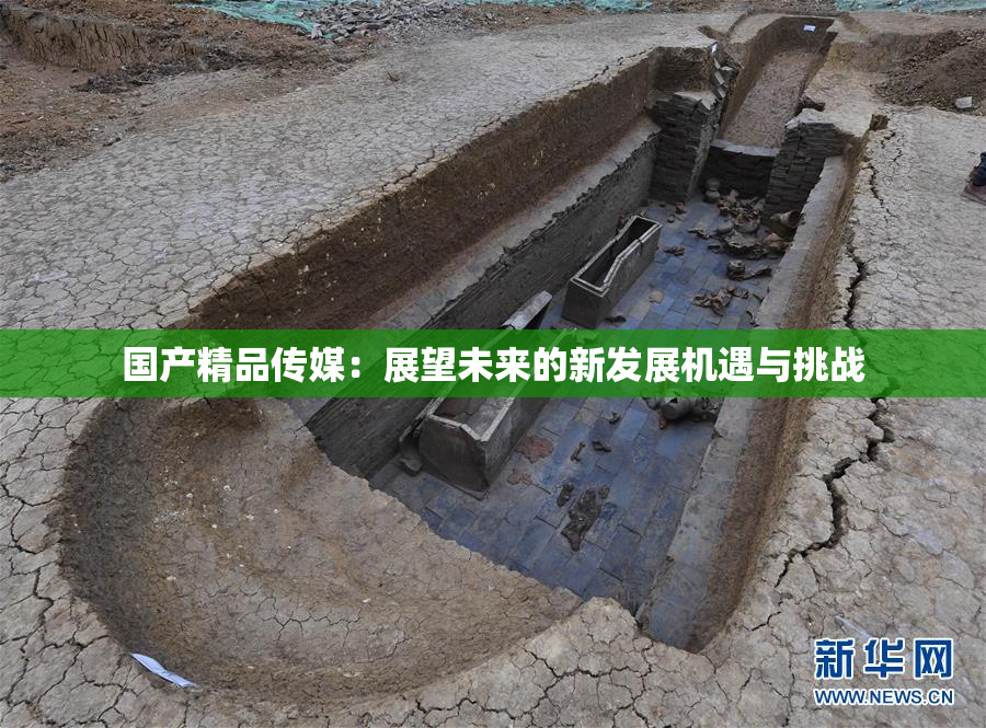 国产精品传媒：展望未来的新发展机遇与挑战