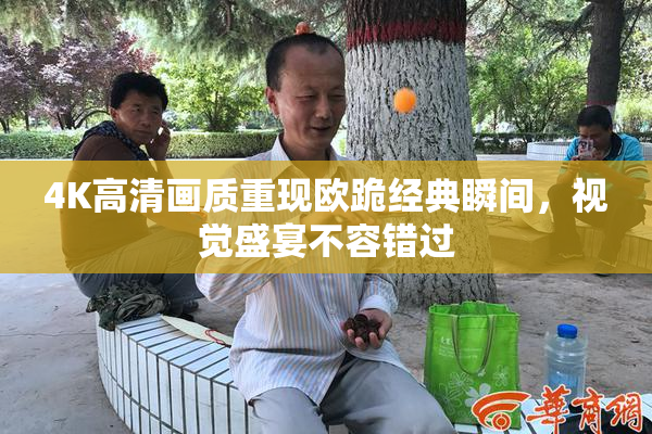 4K高清画质重现欧跪经典瞬间，视觉盛宴不容错过