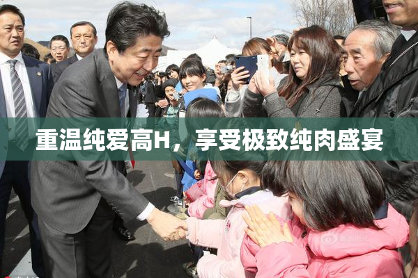 重温纯爱高H，享受极致纯肉盛宴