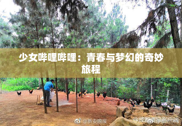 少女哔哩哔哩：青春与梦幻的奇妙旅程