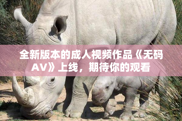 全新版本的成人视频作品《无码AV》上线，期待你的观看