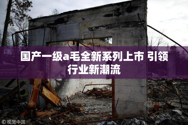 国产一级a毛全新系列上市 引领行业新潮流