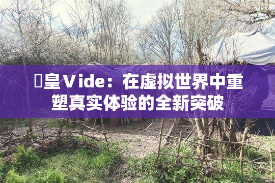 嘼皇Ⅴide：在虚拟世界中重塑真实体验的全新突破