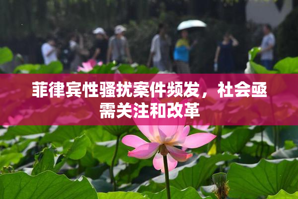 菲律宾性骚扰案件频发，社会亟需关注和改革