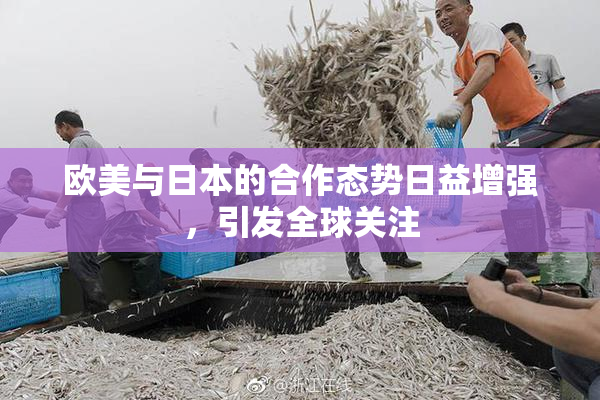 欧美与日本的合作态势日益增强，引发全球关注