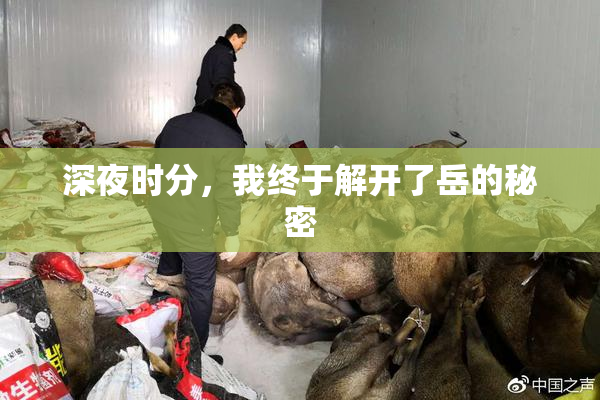 深夜时分，我终于解开了岳的秘密