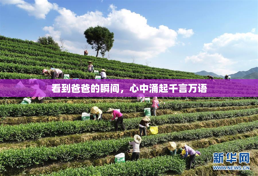 看到爸爸的瞬间，心中涌起千言万语