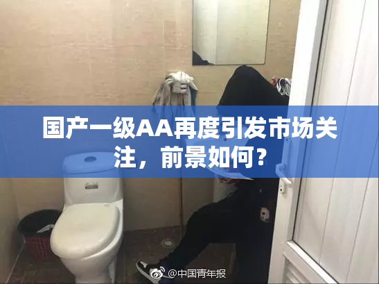 国产一级AA再度引发市场关注，前景如何？