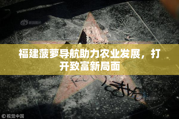 福建菠萝导航助力农业发展，打开致富新局面