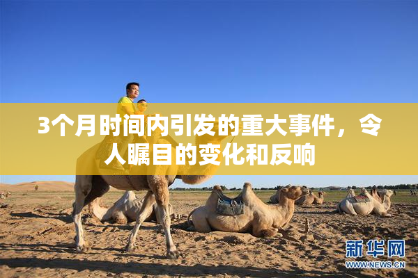 3个月时间内引发的重大事件，令人瞩目的变化和反响