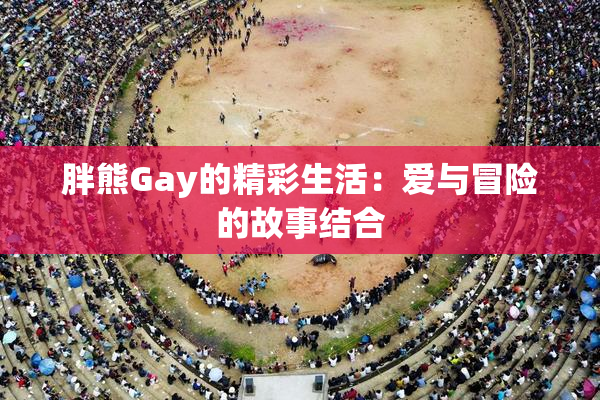胖熊Gay的精彩生活：爱与冒险的故事结合