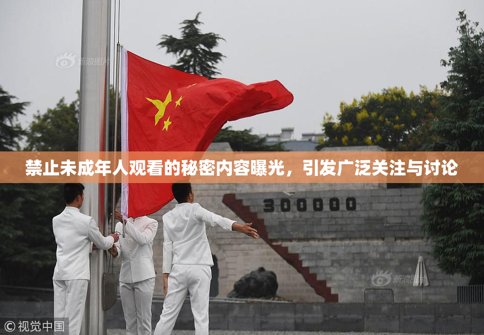 禁止未成年人观看的秘密内容曝光，引发广泛关注与讨论