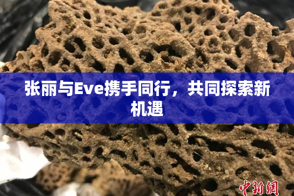 张丽与Eve携手同行，共同探索新机遇