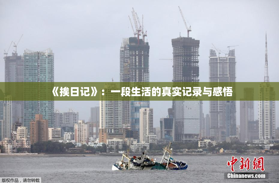 《挨日记》：一段生活的真实记录与感悟