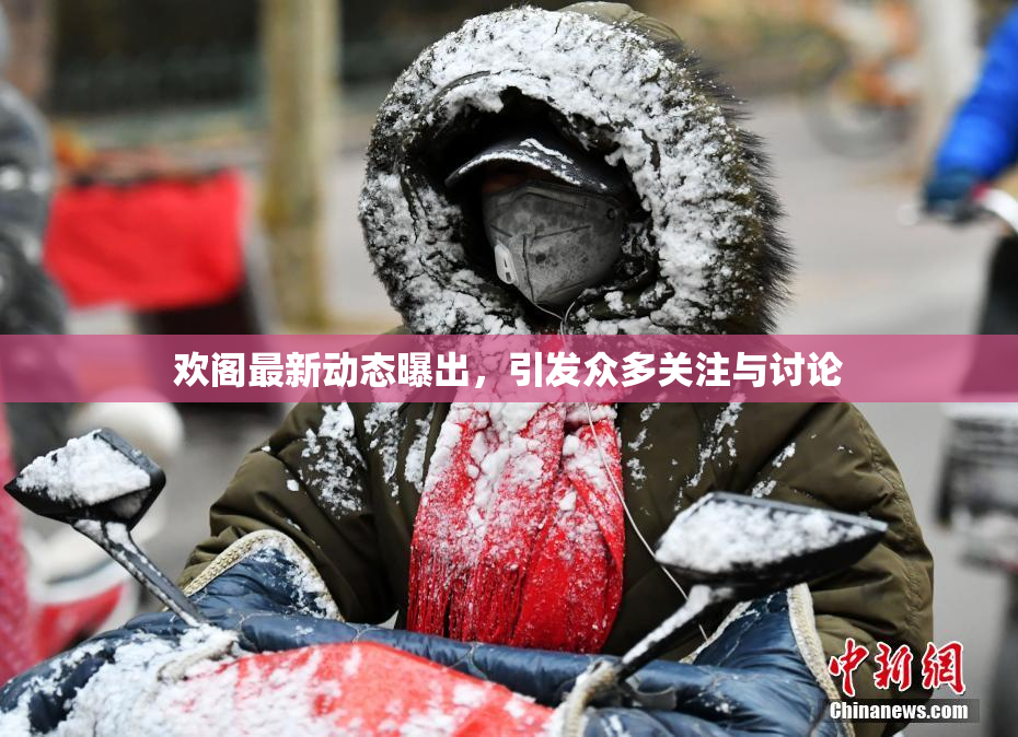 欢阁最新动态曝出，引发众多关注与讨论