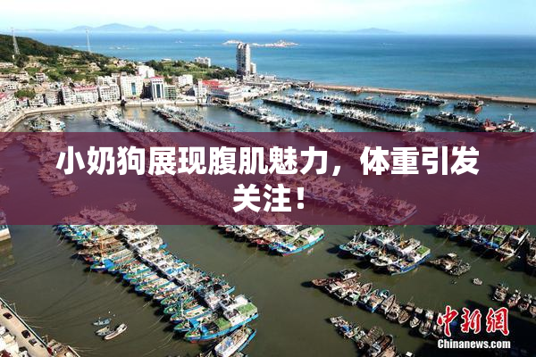 小奶狗展现腹肌魅力，体重引发关注！