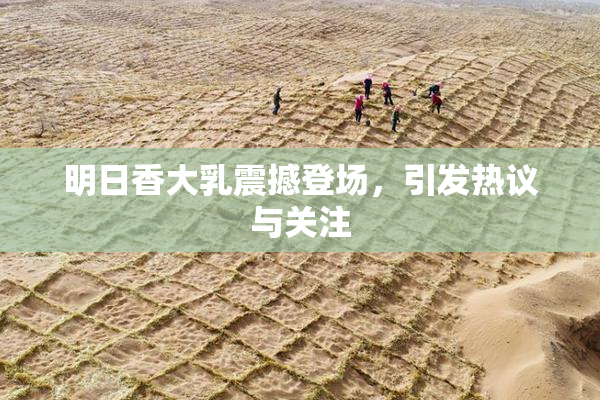 明日香大乳震撼登场，引发热议与关注