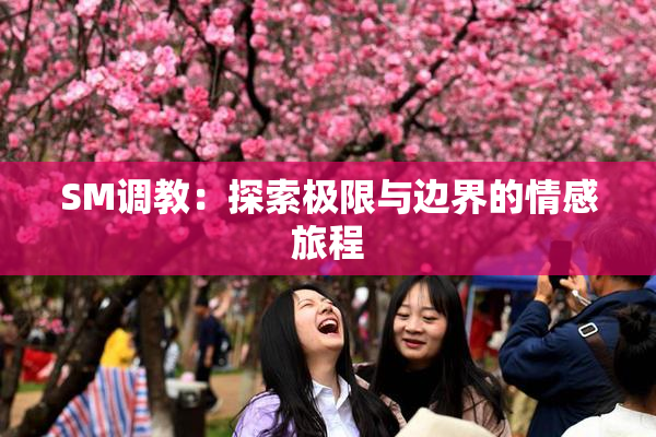 SM调教：探索极限与边界的情感旅程