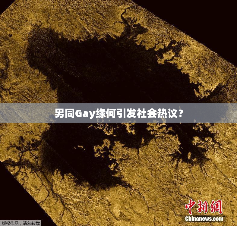 男同Gay缘何引发社会热议？