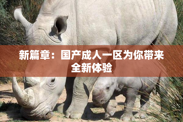新篇章：国产成人一区为你带来全新体验