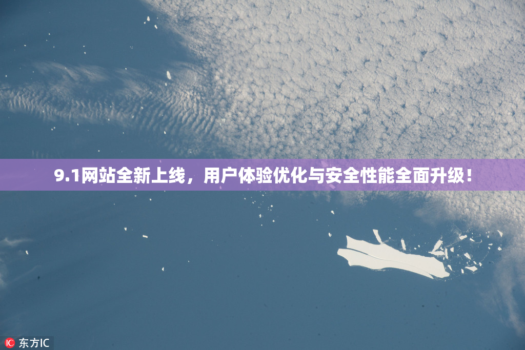 9.1网站全新上线，用户体验优化与安全性能全面升级！