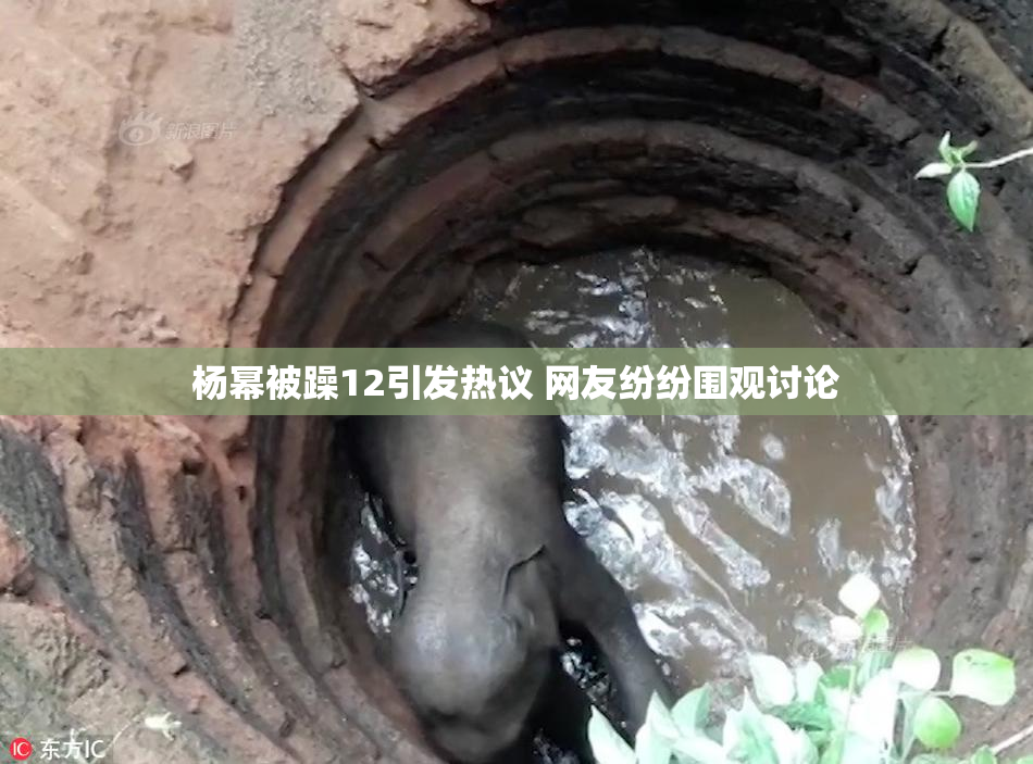 杨幂被躁12引发热议 网友纷纷围观讨论