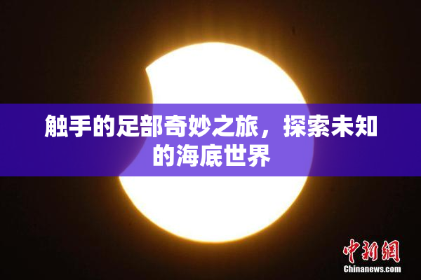 触手的足部奇妙之旅，探索未知的海底世界