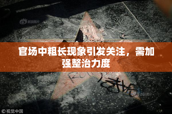 官场中粗长现象引发关注，需加强整治力度
