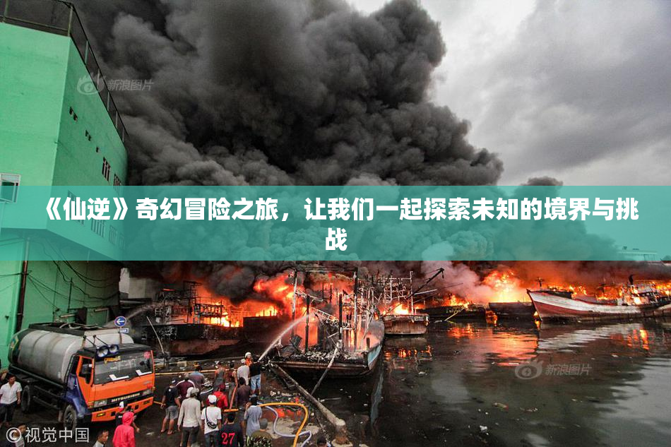 《仙逆》奇幻冒险之旅，让我们一起探索未知的境界与挑战