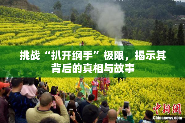 挑战“扒开纲手”极限，揭示其背后的真相与故事