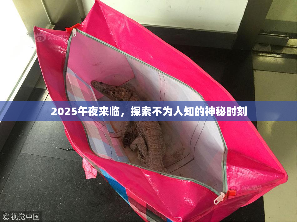 2025午夜来临，探索不为人知的神秘时刻