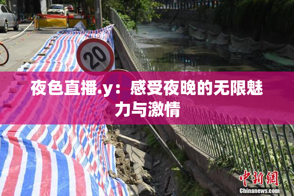 夜色直播.y：感受夜晚的无限魅力与激情