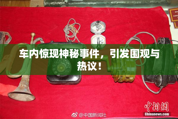 车内惊现神秘事件，引发围观与热议！