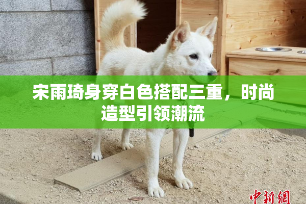 宋雨琦身穿白色搭配三重，时尚造型引领潮流