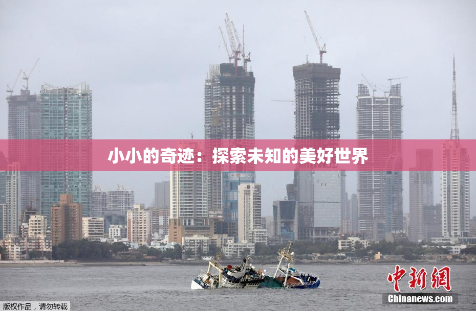 小小的奇迹：探索未知的美好世界