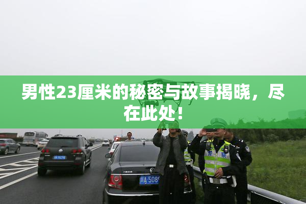 男性23厘米的秘密与故事揭晓，尽在此处！