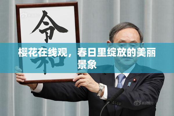 樱花在线观，春日里绽放的美丽景象