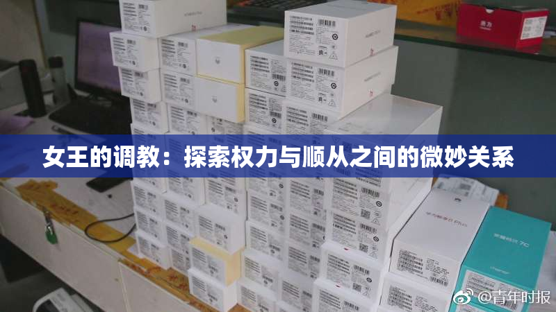 女王的调教：探索权力与顺从之间的微妙关系