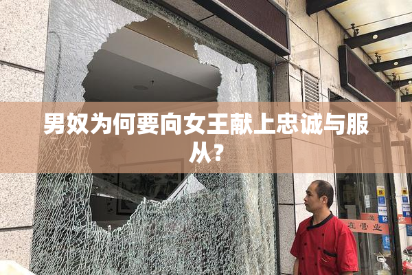 男奴为何要向女王献上忠诚与服从？