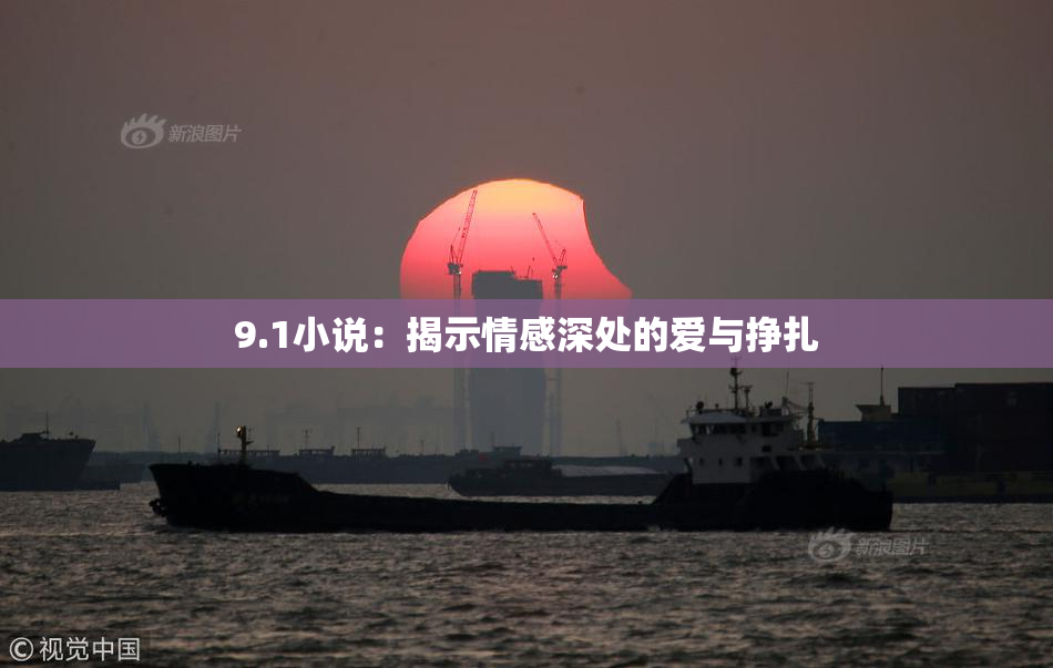 9.1小说：揭示情感深处的爱与挣扎