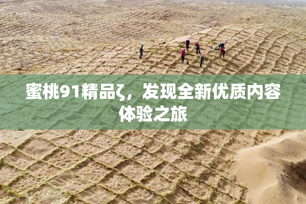 蜜桃91精品ζ，发现全新优质内容体验之旅
