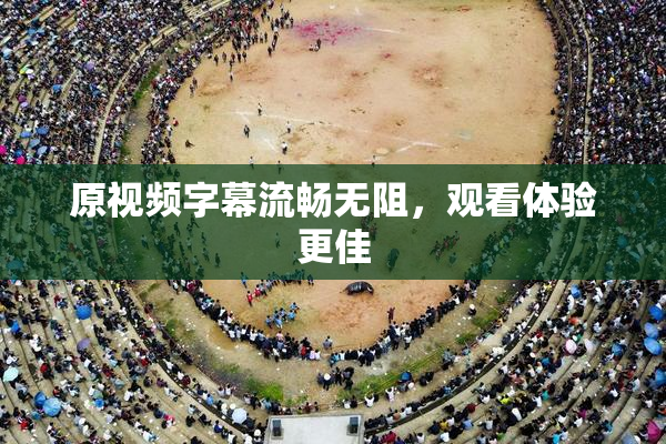 原视频字幕流畅无阻，观看体验更佳