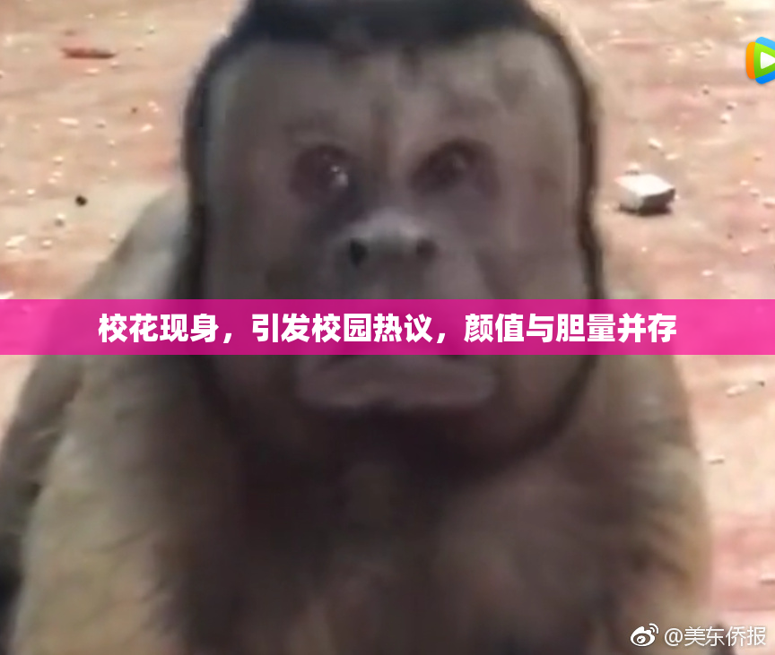 校花现身，引发校园热议，颜值与胆量并存