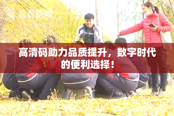 高清码助力品质提升，数字时代的便利选择！