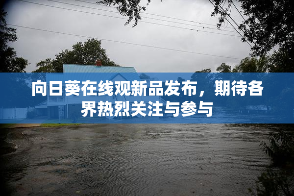 向日葵在线观新品发布，期待各界热烈关注与参与