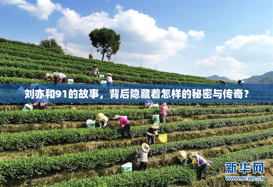 刘亦和91的故事，背后隐藏着怎样的秘密与传奇？