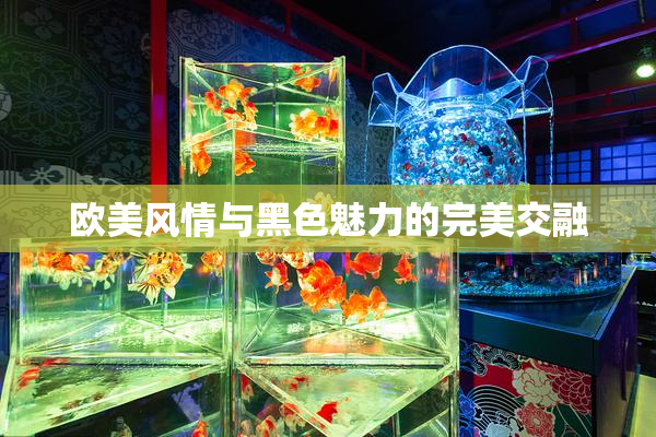 欧美风情与黑色魅力的完美交融
