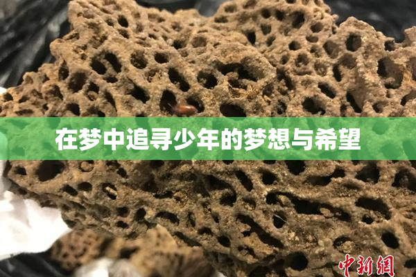 在梦中追寻少年的梦想与希望