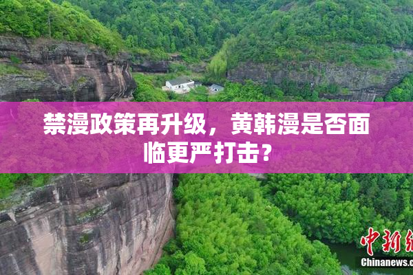 禁漫政策再升级，黄韩漫是否面临更严打击？