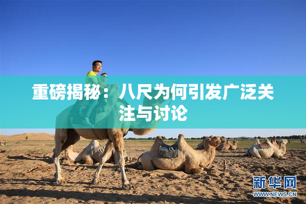 重磅揭秘：八尺为何引发广泛关注与讨论